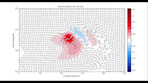 Lagrangian particles in an idealised Agulhas ring