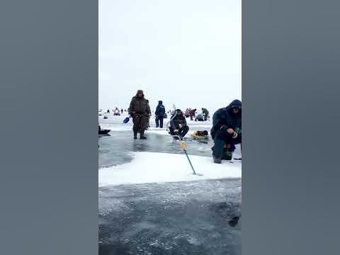 голодные люди - YouTube