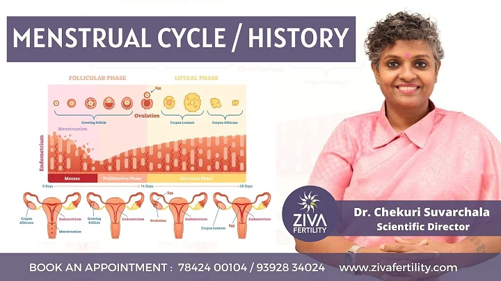 The Menstrual Cycle Or History || Fertility Tips || Dr Chekuri Suvarchala || Ziva Fertility