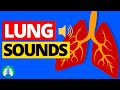 Lung sounds abnormal breath sounds and auscultation  respiratory therapy zone