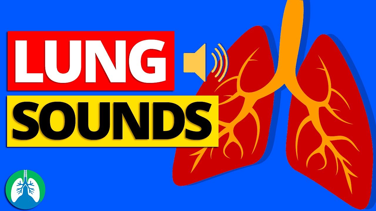 Lung Sounds And Auscultation Made Easy (2023)