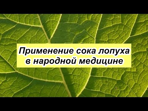 Сок лопуха при опухоли, кисте, гепатите и прочее. Интересные факты!