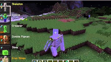 Minecraft Mod-Review | Morph Mod!