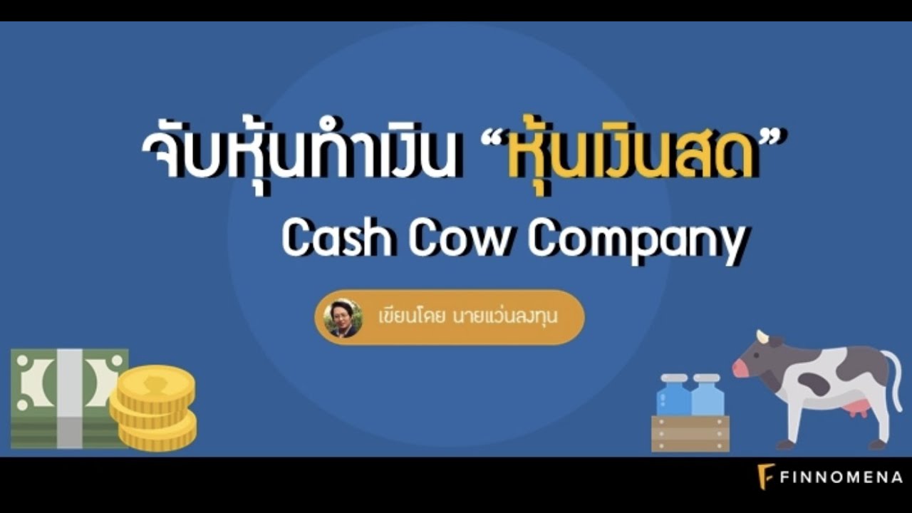 cash cow คือ  Update 2022  ลักษณะของหุ้นเงินสด หรือ Cash Cow Company เป็นอย่างไร ? #นายแว่นลงทุน