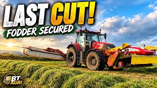 We Needed This! The Last Cut Of Silage After A Summer Of Drought! 