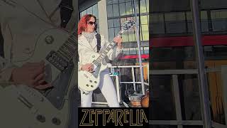 Kashmir - Zepparella - 2024 - Gretchen Menn