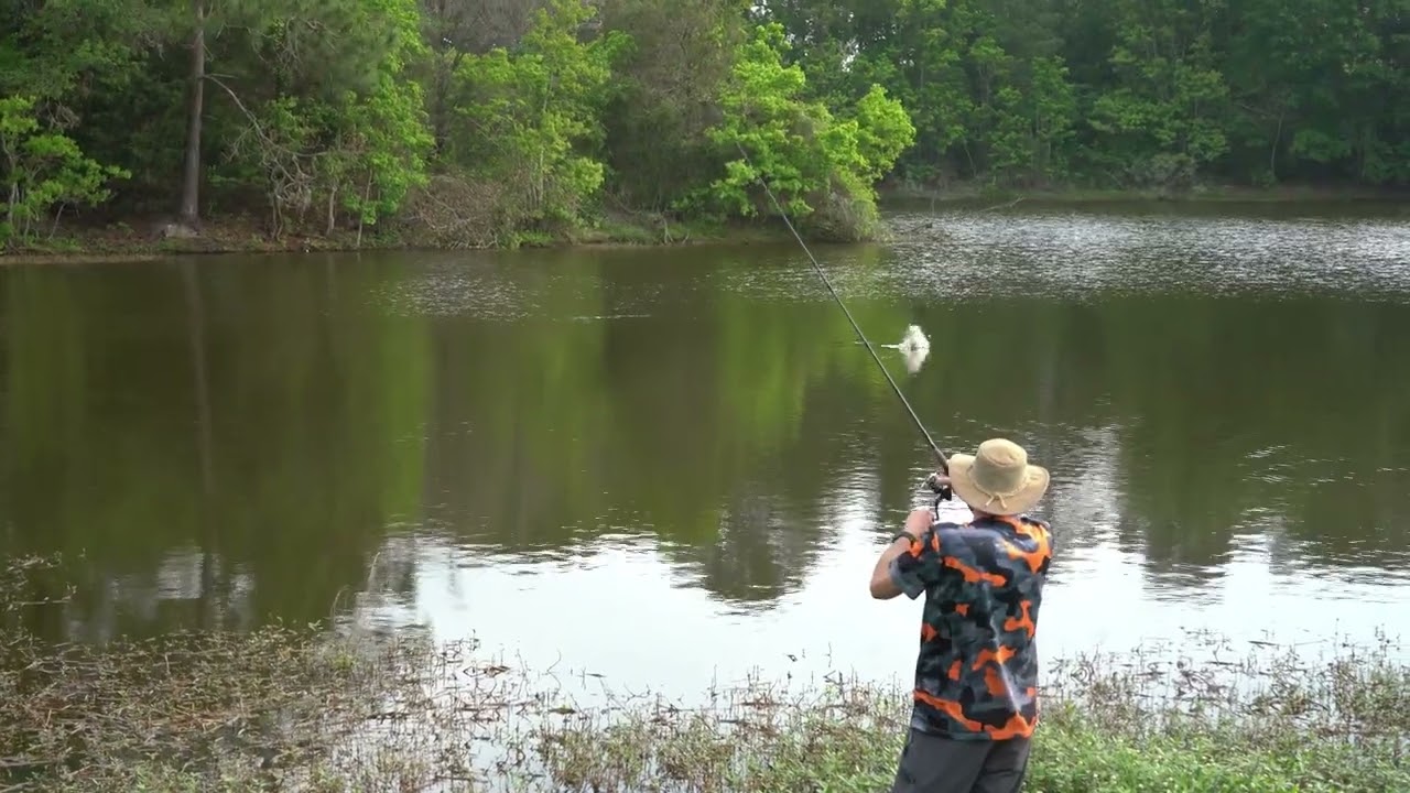 Woody Goes Fishing