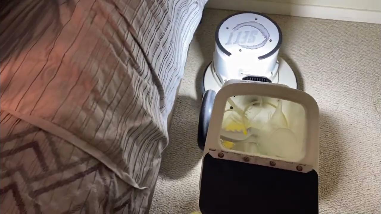 OxyDry cleaning up the urine soaked carpet YouTube