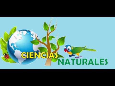 Video: ¿Cuál es la definición de plantas cultivadas?