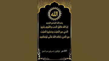 عظيم قدرة الله من سورة الأنعام (95-96) تلاوة الشيخ ياسر السلامة