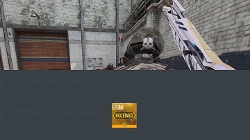 CODM FINALLY ADDED EXECUTION!