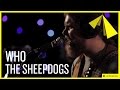 The Sheepdogs | Who