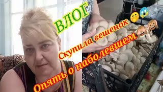 Влог. Купила Грибы. Снова О Наболевшем. Мои Растишки Всходят.