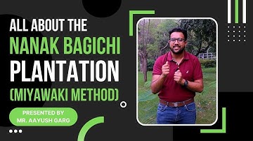 All About NANAK BAGICHI | Miyawaki Plantation Explained | Environment Matters NGO