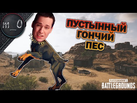 Видео: Пустынный гончий пес / Загнал всех на Мирамаре / BEST PUBG