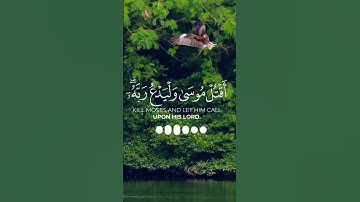 احترام القرآن الكريم #قل_آمنت_بالله_ثم_استقم #راحة_نفسية