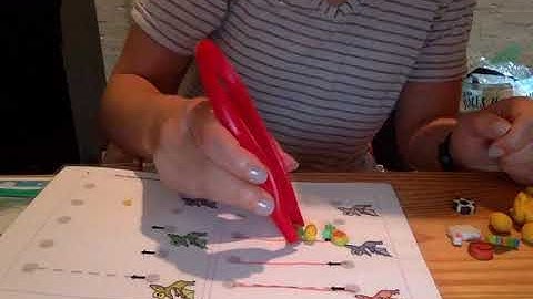 File Folder Activities