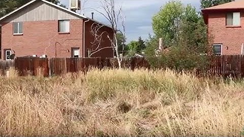 Code Compliance Process in Adams County