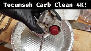 Tecumseh 640266 (640288) Detailed Carb Clean [4K] by Wild_Bill 26,607 views 4 years ago 23 minutes