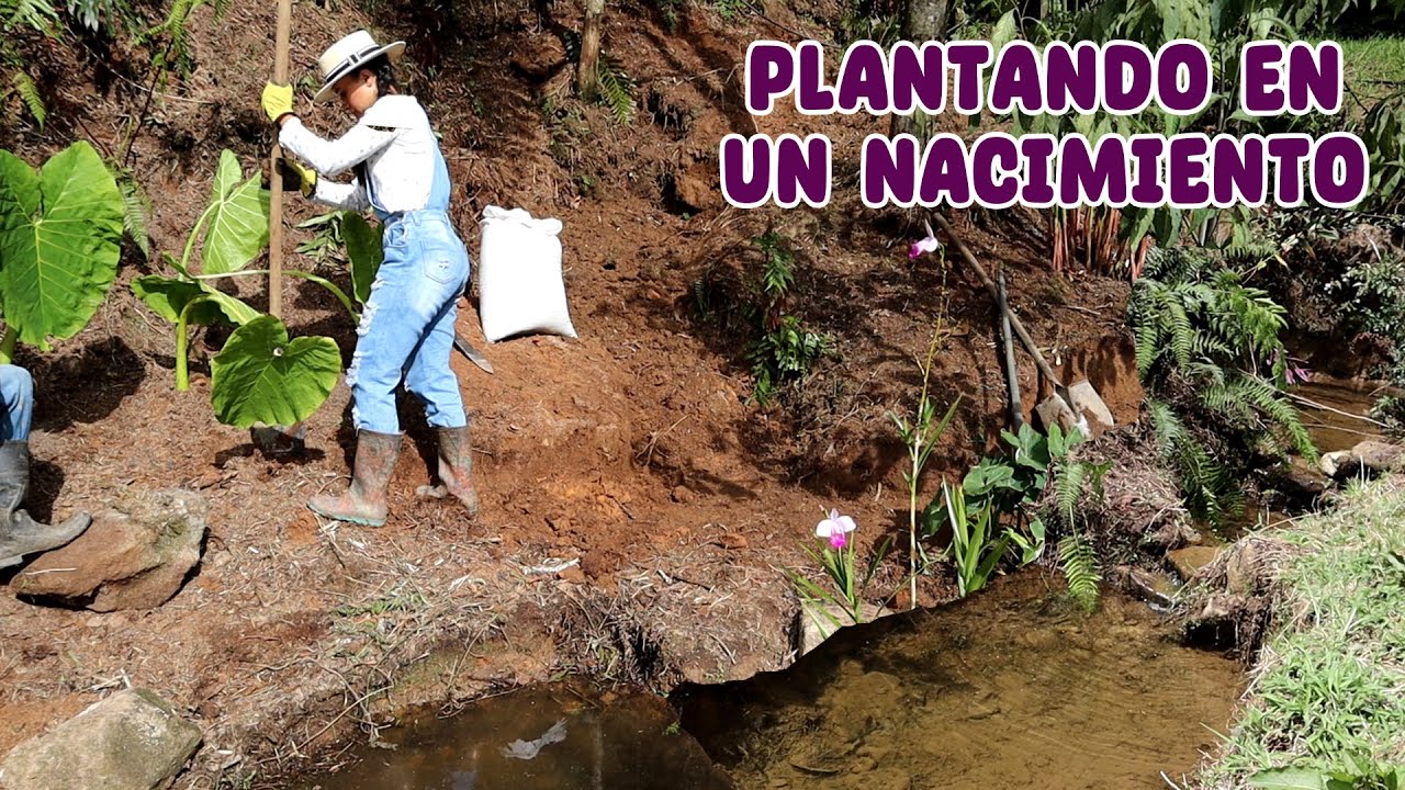 Haciendo un jardín al lado de un nacimiento de agua │ Candy Bu - YouTube