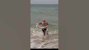 Nghề Chài Cá Ven Biển (coastal fishing)