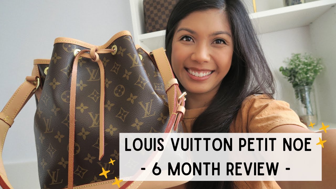 LOUIS VUITTON PETIT NOE: 6 MONTH REVIEW! Wear and tear? Is it worth it ...