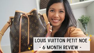 Wear & Tear Review, Louis Vuitton Noe Pouch