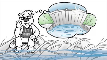 Liquid Networx "The Dam Network"