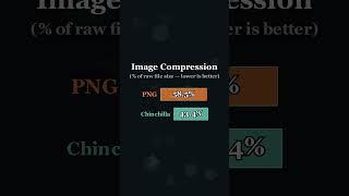 A Text AI Compresses Photos Better Than PNG