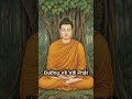 Đường Về Với Phật
