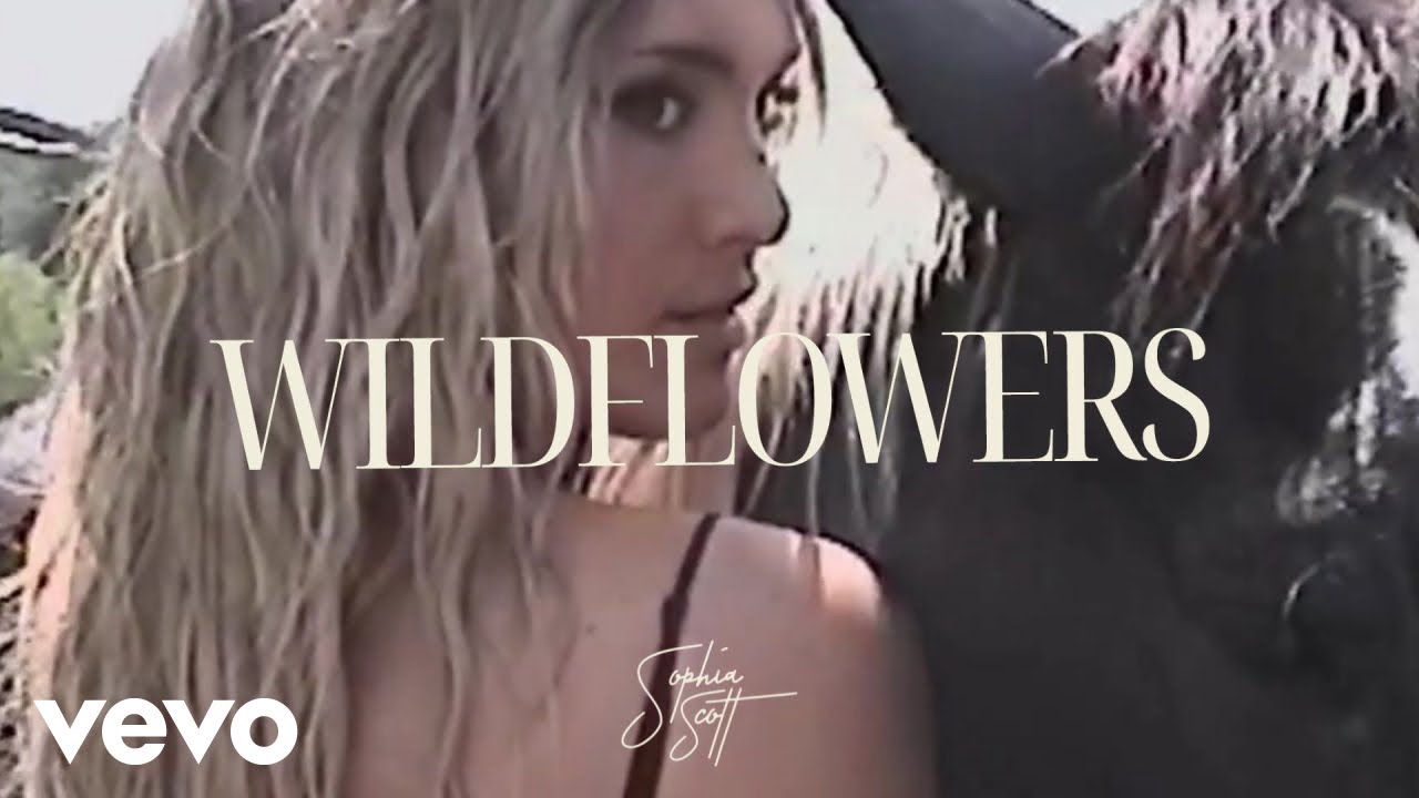 Watch Sophia Scott - Wildflowers (Analog Visualizer) on YouTube Watch Sophia Scott - Wildflowers (Analog Visualizer) on YouTube
