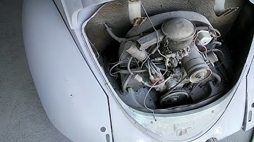 61 bug walk around and info on how to paint a bug