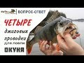 Джиговые проводки для крупного окуня. Вопрос-ответ