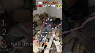 Ranking The Funniest Rat Moments!