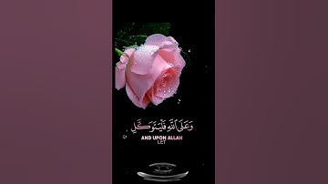 صباح الخير🌷حالات واتساب مقاطع قصيره🌷قران كريم قل لن يصيبناإلا ما كتب الله لنا🌷احمد العجمي🌷بدون حقوق