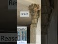failure of column.