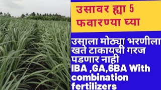 उसावरील अतिशय महत्वाच्या 5 फवारण्या | ऊस शेती 🔴 IBA, GA,6BA with other fertilizer |  Us Fawarani screenshot 4