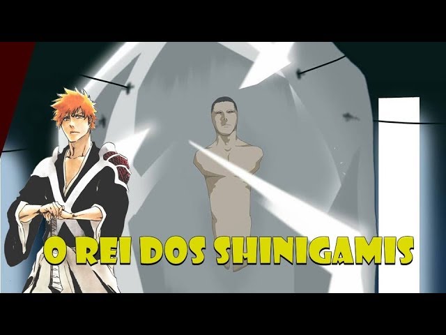 Bleach anime, Ichigo se torna um verdadeiro ceifador de almas após o t