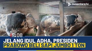 Presiden Prabowo Beli Sapi Jumbo 1 Ton dari Wonosobo, Ini Penampakannya! | ASTA CITA 08