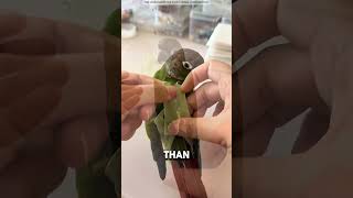Most Unexpected Parrot Trick 🦜😳#shorts #youtubeshorts #shortvideo #viral #ytshorts