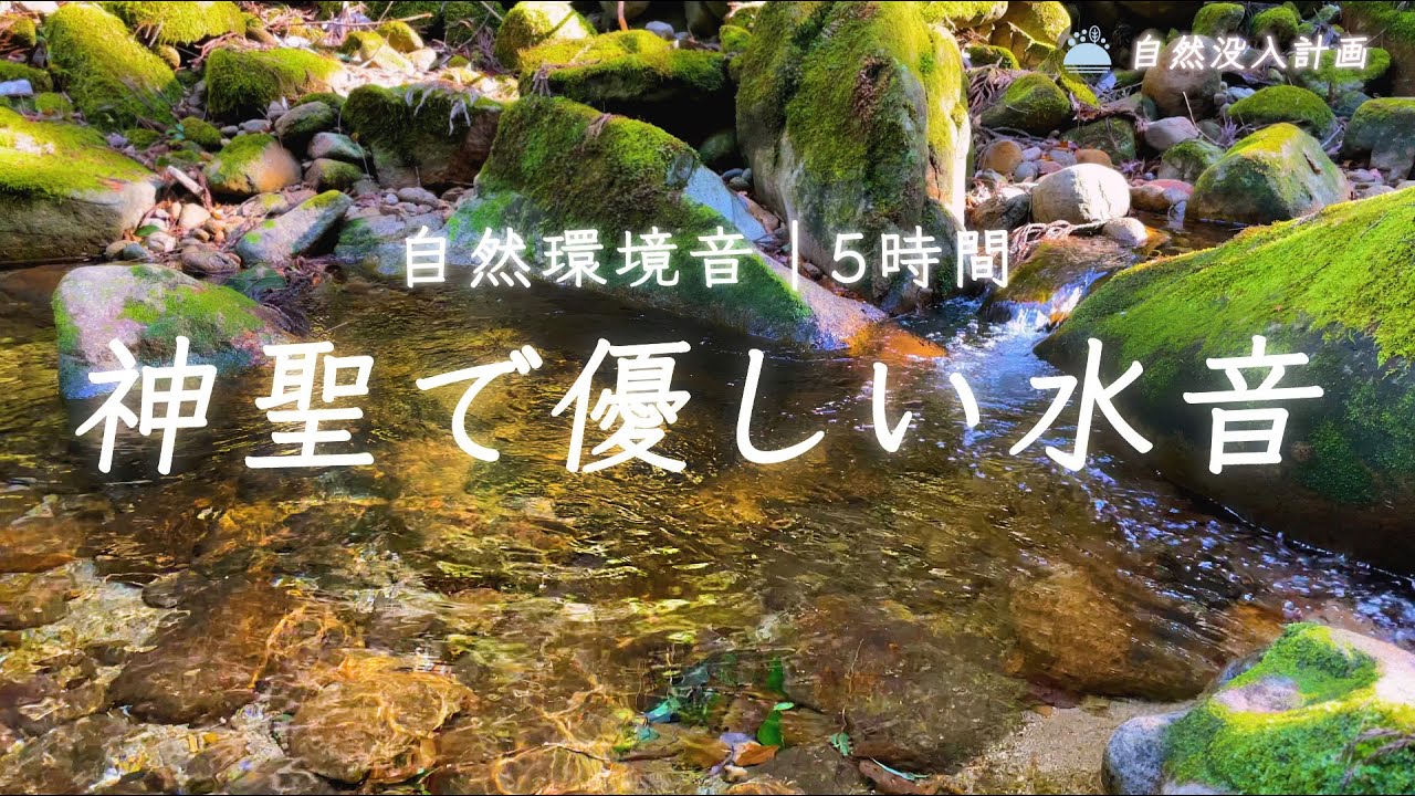 優しい水音】龍神が宿る優しい川のせせらぎに癒される5時間【自然環境