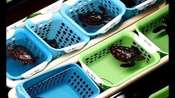 FAU Marine Science Lab Welcome Video