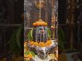 ॐ त्र्यम्बकं यजामहे सुगन्धिं पुष्टिवर्धनम्। उर्वारुकमिव बन्धनान् मृत्योर्मुक्षीय मामृतात्॥✨🙏