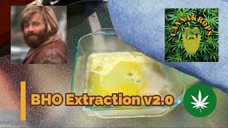 BHO Extraction v2.0