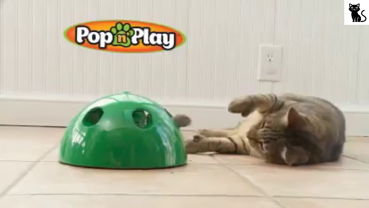 Peeking Mouse Interactive Cat Toy