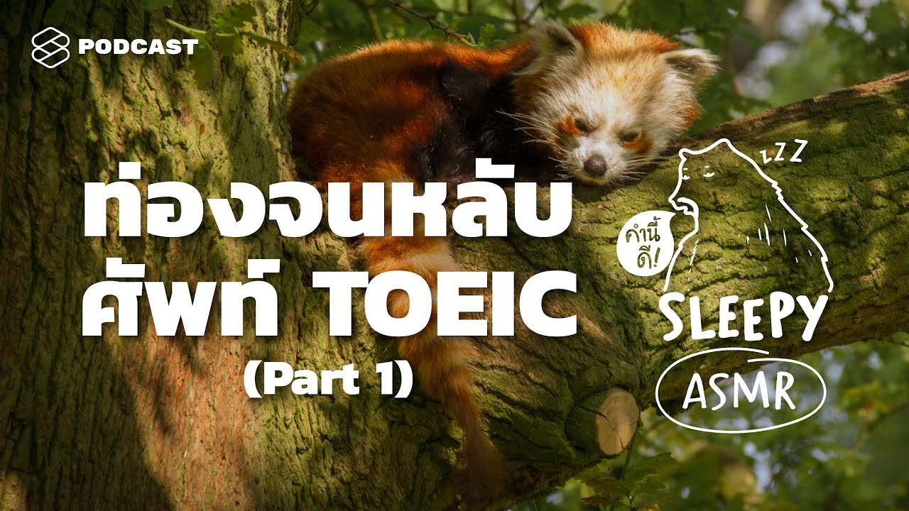 หนังสือคําศัพท์ภาษาอังกฤษ  2022 New  ASMR | ท่องจนหลับ ศัพท์ TOEIC | Part 1 (Jungle Rain V.) | คำนี้ดี SLEEPY EP.24