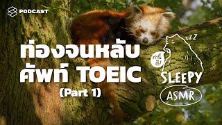 ASMR | ท่องจนหลับ ศัพท์ TOEIC | Part 1 (Jungle Rain V.) | คำนี้ดี SLEEPY EP.24 screenshot 4