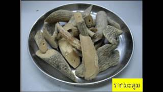 พิกัดตรี สินธุรส ตอน๑