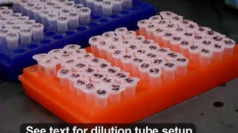 7-Phage display and selection