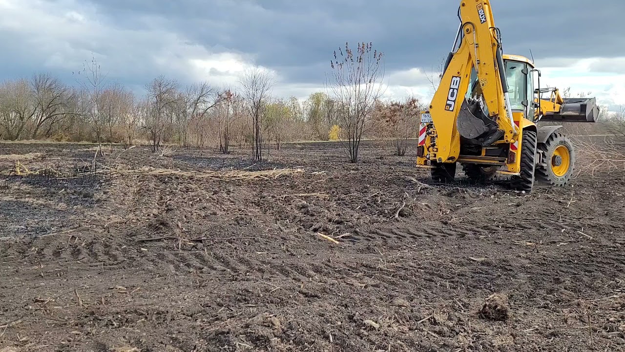 JCB CX5. Чистим поле от поросли.